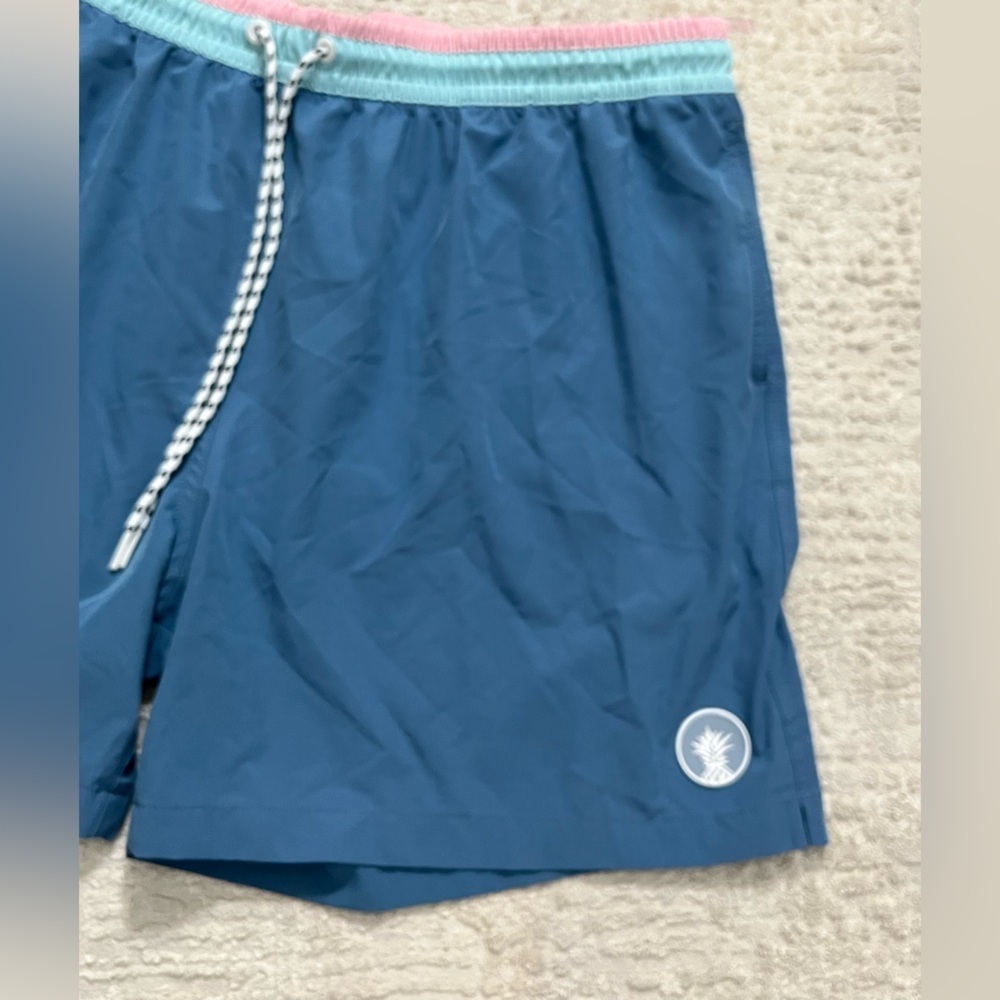 Chubbies Swim Trunks 5.5 Inch - Picture 3 of 5